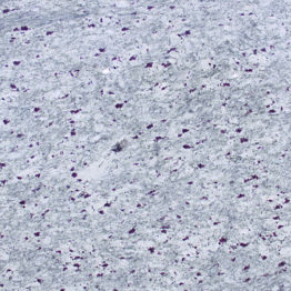 Kashmir Lunar White