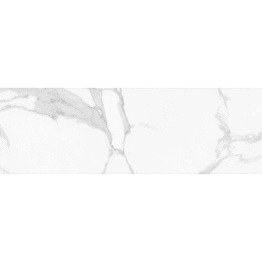 1ECORIT300X900 (5)