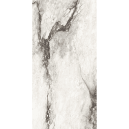 Renoir-Etoile_8