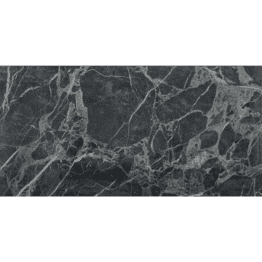 1SEGSPBLGL60X120_1